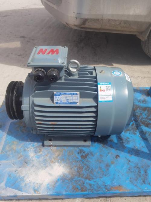 电动机在额定工作状态下运行时,定子电路所加的什么叫额定电压 电动机在额定工作状态下运行时,定子电路所加的什么叫额定电压